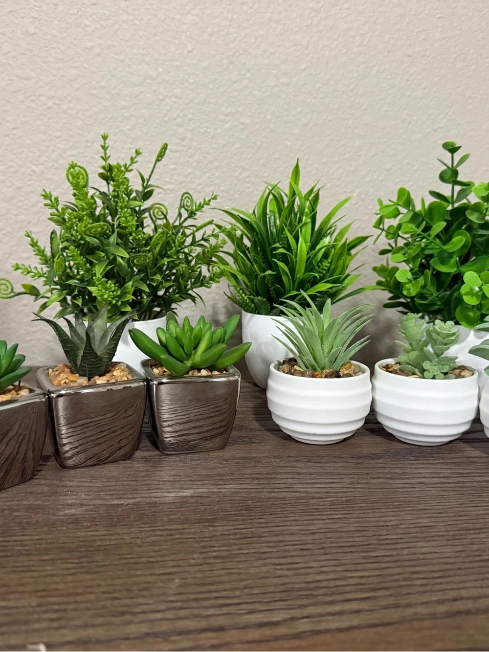 Assorted Green Faux Succulent Set in White and Brown Planters - Home Accents